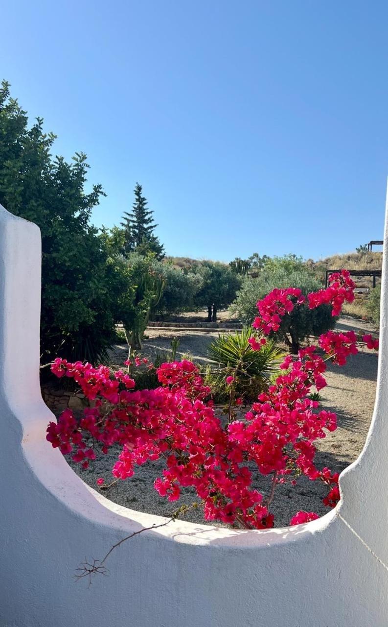 Cortijo Malenos Country house *
